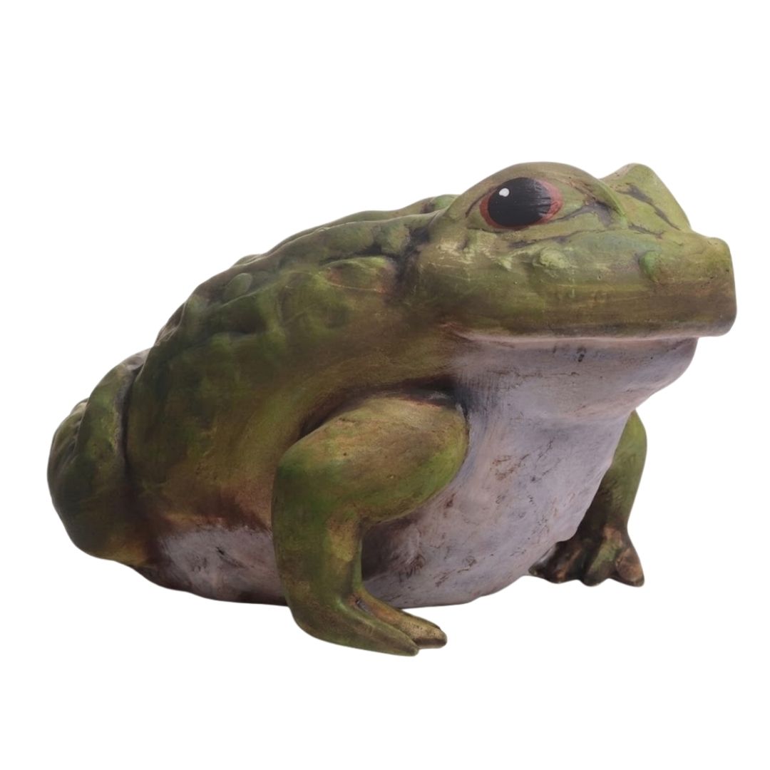 Produktová fotografie zelené žáby